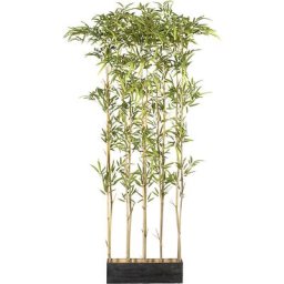 Séparateur de pièce en bambou, dans une caisse en bois, résistant aux UV, hauteur 1600 mm