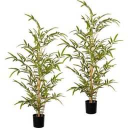 Bambou à petites feuilles sur tronc naturel, lot de 2, dans un pot en plastique, hauteur 900 mm