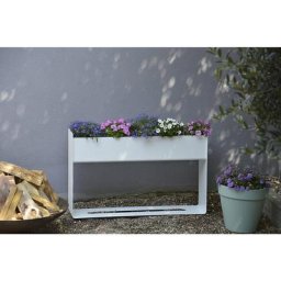 Bac à plantes avec évacuation de l'eau, en aluminium, h x l x p 500 x 800 x 200 mm