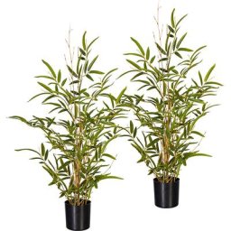 Bambou à petites feuilles sur tronc naturel, lot de 2, dans un pot en plastique, hauteur 700 mm