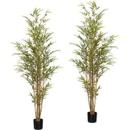 Bambou à tronc naturel, pot en plastique 130 x 115 mm, lot de 2, hauteur 1500 mm