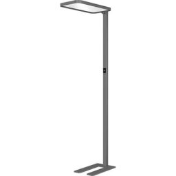 Hansa Lampe à diodes LED sur pied SAPHIR, intensité lumineuse variable, anthracite