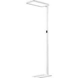 Hansa Lampe à diodes LED sur pied SAPHIR, intensité lumineuse variable, blanc