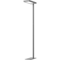 Hansa Lampe à diodes LED sur pied JASPIS, intensité lumineuse variable, anthracite