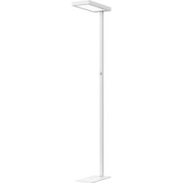 Hansa Lampe à diodes LED sur pied JASPIS, intensité lumineuse variable, blanc