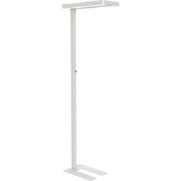 MAUL Lampe à diodes LED MAULjuvis avec détecteur de mouvement, avec capteur de mouvement, intensité lumineuse variable, blanc sécurité RAL 9003