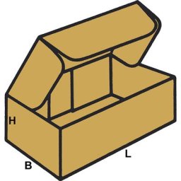 Boîtes en carton avec fermeture par encoche, FEFCO 0426, en carton à simple cannelure, dim. int. 540 x 180 x 90 mm, lot de 100