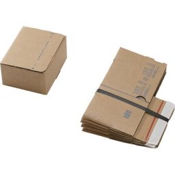 Cartons d'expédition, avec fond automatique et fermeture autocollante, dimensions intérieures L x l x h 160 x 130 x 70 mm, lot de 100