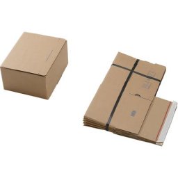 Cartons d'expédition, avec fond automatique et fermeture autocollante, dimensions intérieures L x l x h 260 x 220 x 130 mm, lot de 100