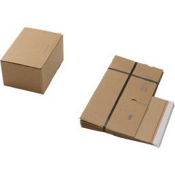 Cartons d'expédition, avec fond automatique et fermeture autocollante, dimensions intérieures L x l x h 310 x 230 x 160 mm, lot de 100