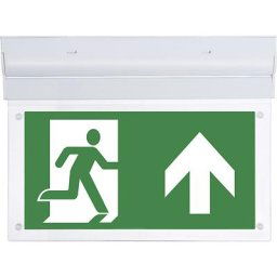 Luminaire de secours, L-LUX STANDARD ECO, modèle sur accumulateur NiMH 3,6 V / 2,5 Ah