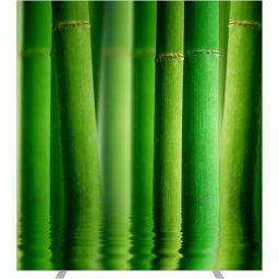 Cloison easyScreen, avec motif photo, modèle bambou, largeur 1600 mm