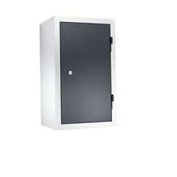 eurokraft basic Armoire murale d'atelier, h x l x p 600 x 350 x 320 mm, portes en tôle pleine, gris basalte RAL 7012