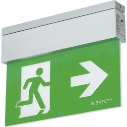 Luminaire à pictogramme, L-LUX STANDARD, montage au plafond