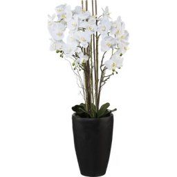 Arrangement de phalaenopsis dans un vase, hauteur 1200 mm, blanc