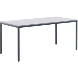 eurokraft basic Table polyvalente, h x l x p 720 x 1600 x 800 mm, plateau gris clair, piétement gris basalte