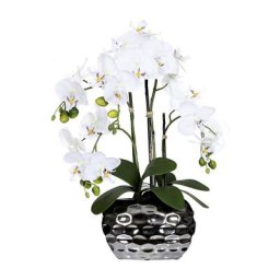 Phalaenopsis dans un vase ovale, hauteur 550 mm, fleurs blanches