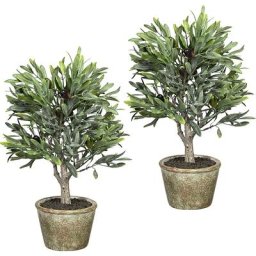 Arbuste d'olivier, lot de 2, avec 7 olives, hauteur 370 mm, dim. pot en matériau naturel 115 x 85 mm