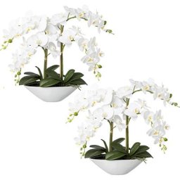 Phalaenopsis, real touch, hauteur 530 mm, lot de 2, bac en céramique, blanc