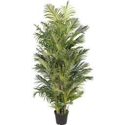 Palmier aréca Real Touch, dans un pot en plastique, hauteur 2200 mm