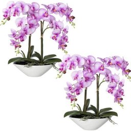 Phalaenopsis, real touch, hauteur 530 mm, lot de 2, bac en céramique, orchidée