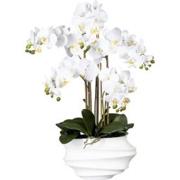 Phalaenopsis, Real Touch, hauteur 750 mm, blanc, vase en plastique blanc