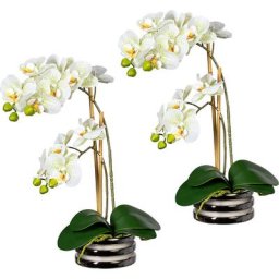 Orchidée papillon, real touch, dans un bol en céramique, lot de 2, vert clair
