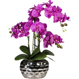 Phalaenopsis dans un vase ovale, hauteur 550 mm, fleurs violettes
