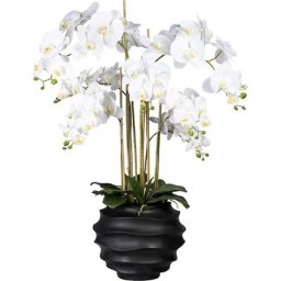 Phalaenopsis, Real Touch, hauteur 950 mm, blanc, pot en plastique noir