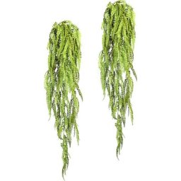 Adiantum suspendu, lot de 2, longueur 1050 mm