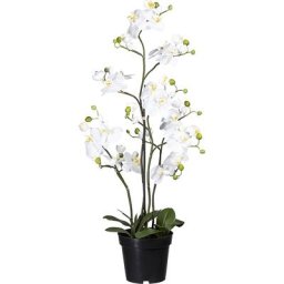 Phalaenopsis, Real Touch, hauteur 900 mm, 11 feuilles, blanc