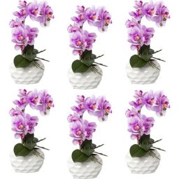Phalaenopsis, real touch, hauteur 330 mm, lot de 6, pot en céramique, orchidée