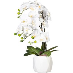 Orchidée papillon, real touch, dans un vase en céramique, hauteur 600 mm, fleurs blanches