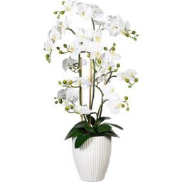 Orchidée papillon, real touch, dans un vase en céramique, hauteur 1100 mm, blanc