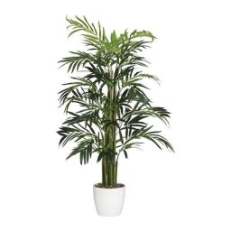 Palmier bambou, realtouch, realtouch, pot en céramique, hauteur 1000 mm