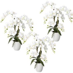 Phalaenopsis, real touch, hauteur 670 mm, lot de 3, pot en céramique, blanc