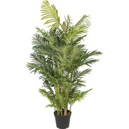 Palmier aréca Real Touch, dans un pot en plastique, hauteur 1700 mm