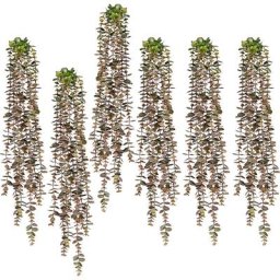 Eucalyptus suspendu, lot de 6, vert-rose, longueur 800 mm