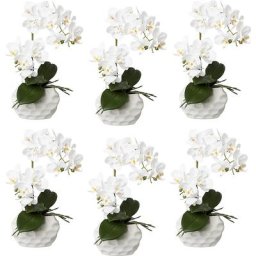 Phalaenopsis, real touch, hauteur 330 mm, lot de 6, pot en céramique, blanc