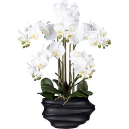 Phalaenopsis, Real Touch, hauteur 750 mm, blanc, vase en plastique noir