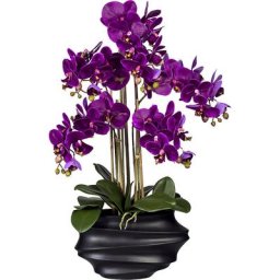 Phalaenopsis, Real Touch, hauteur 750 mm, lilas, vase en plastique noir