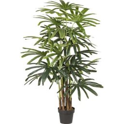 Palmier rhapis Real Touch, dans un pot en plastique, hauteur 1550 mm