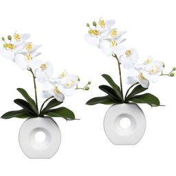 Phalaenopsis, Real Touch, dans un vase en céramique, lot de 2, blanc