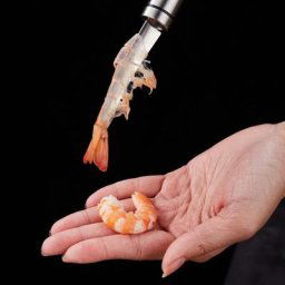 Ustensile de pêche pour écailles de poisson outils de cuisine couteau barre de patte éplucheur à