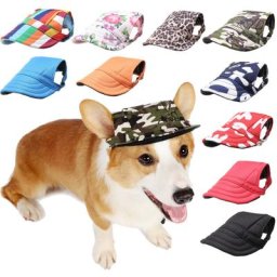Casquette d'été pour chien chapeau d'extérieur casquette de Baseball en toile pour petit chien