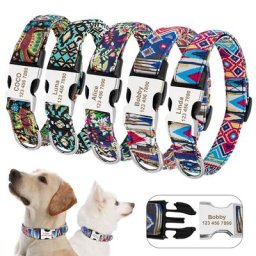 Collier en nylon personnalisé pour animaux de compagnie plaque signalétique gravée pour chiot et