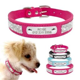 Collier personnalisé d'identification de chien en cuir collier de chiot de chien collier de chat