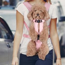 Sac à dos polyvalent réglable pour animal de compagnie Electrolux Oxford grill eau degré