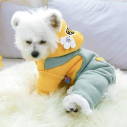 PETCIRCLE-Manteau à quatre pattes pour petit chien vêtements chauds en velours petites ailes