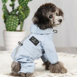 Veste imperméable à capuche réfléchissante pour chien vêtements d'extérieur respirants et à la mode
